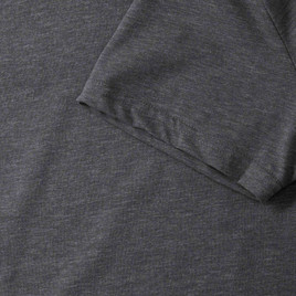 Koszulka męska HD R165M Russell