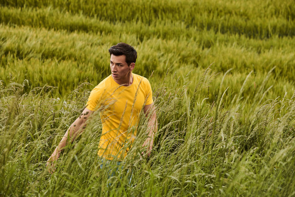 Żółta koszulka męska z czesanej bawełny Iconic rękawem Fruit of the Loom